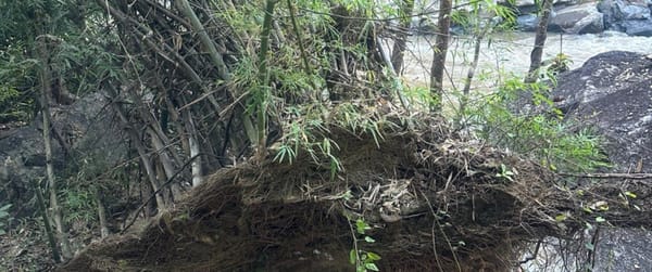 LLM高质量输出激活词汇表