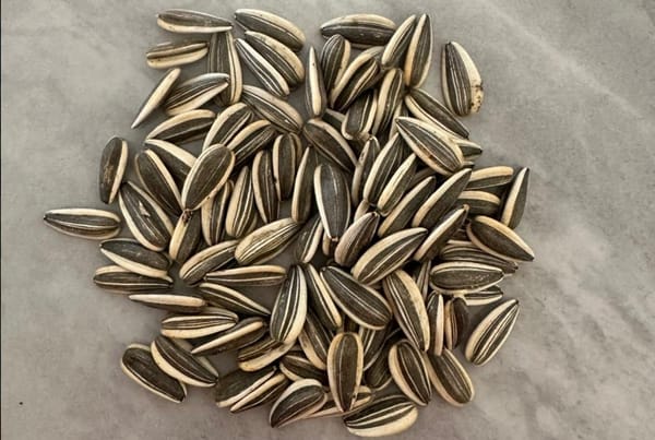 Using Cursor + GitHub MCP to Fix Issues with Just a Number